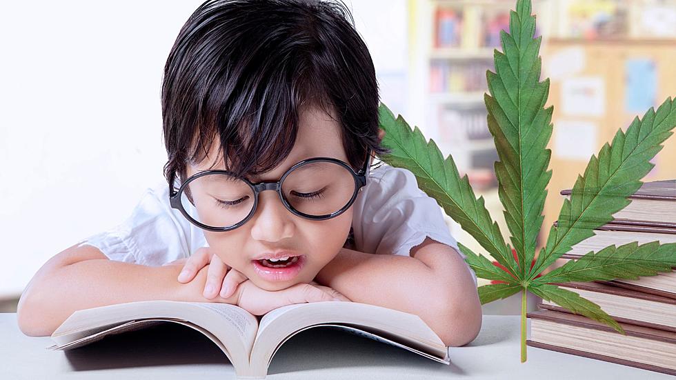 Proposed Michigan Law Could Allow Kindergarteners To Use Cannabis In Schools