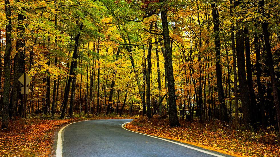 Michigan's Tunnel of Trees is Stunning in Fall