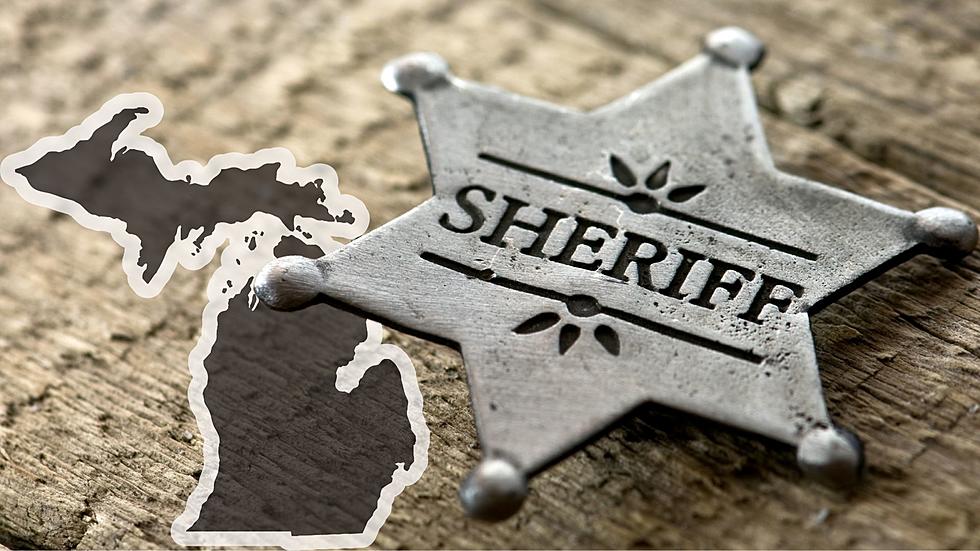 Mich. Law Might Require Sheriff's to Have Past Law Experience