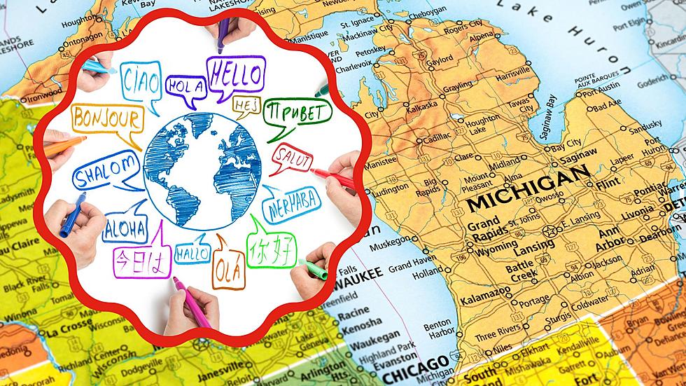 What is Michigan's Other Second Language?