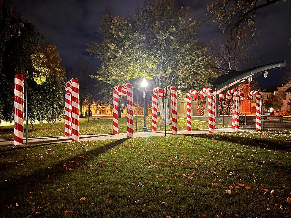 Candy Cane Lane Has Returned To Bronson Park In Kalamazoo; Is It Too Early For That?