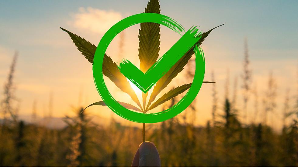 Ohio Votes to Legalize Recreational Cannabis; What Does This Mean for Michigan?