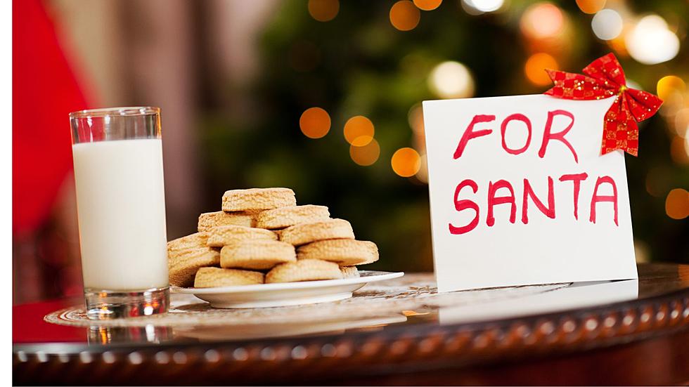 Will You Leave Santa Michigan's Favorite Cookies For Christmas?