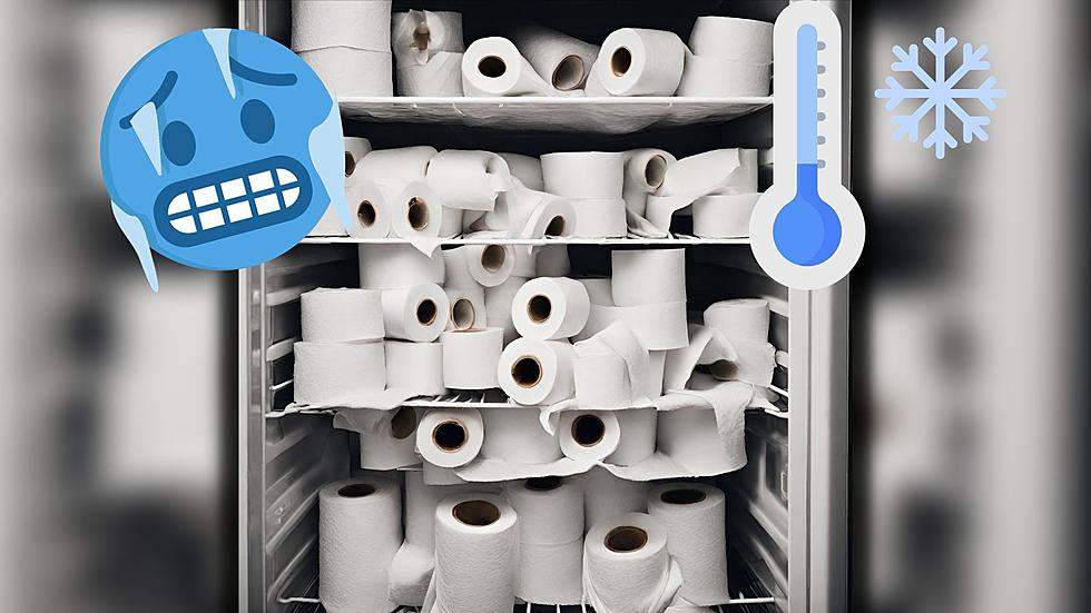 The Best Freeze Dryers of 2024 - Picks by Bob Vila