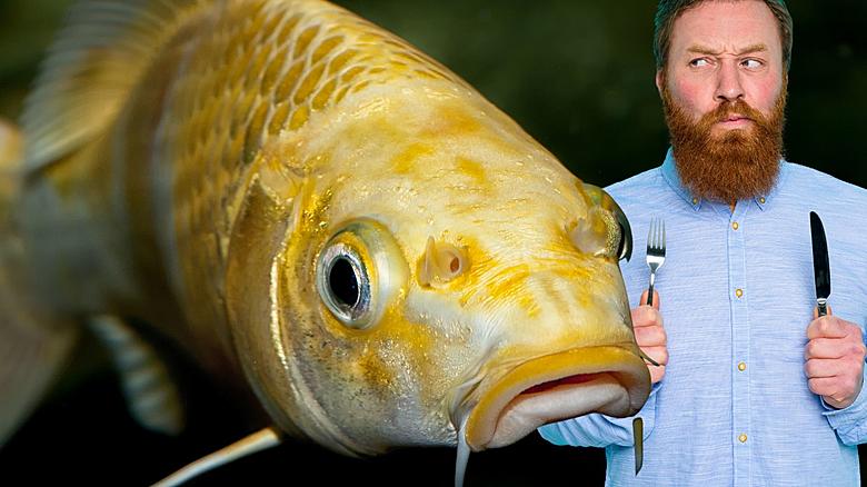 Experts: Eat This Fish Before It Reaches Lake Michigan