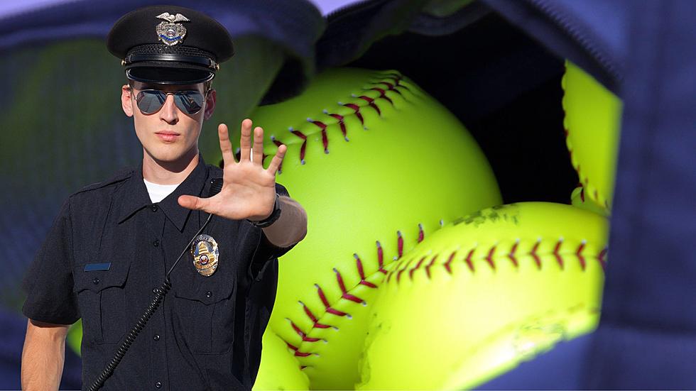 Why Did Michigan State Police Report More than 600 Missing Softballs?
