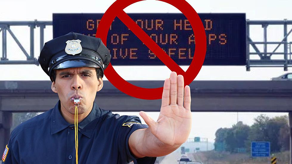 New Law Would Ban Michigan From Posting &#8216;Funny&#8217; Traffic Signs by 2026