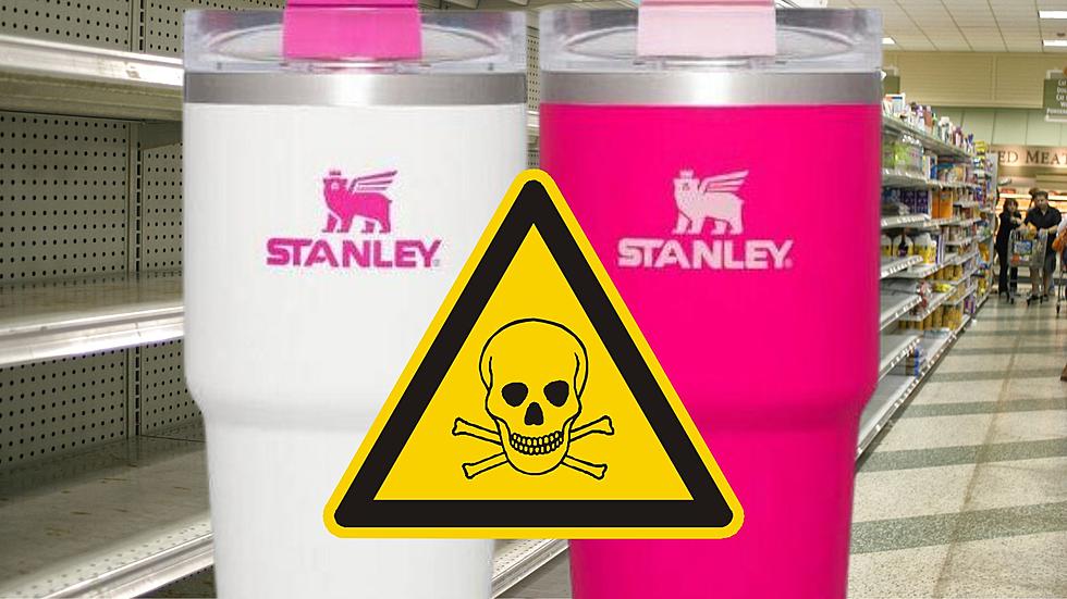 Michiganders: Those Viral Stanley Cups Are Potentially Poisonous