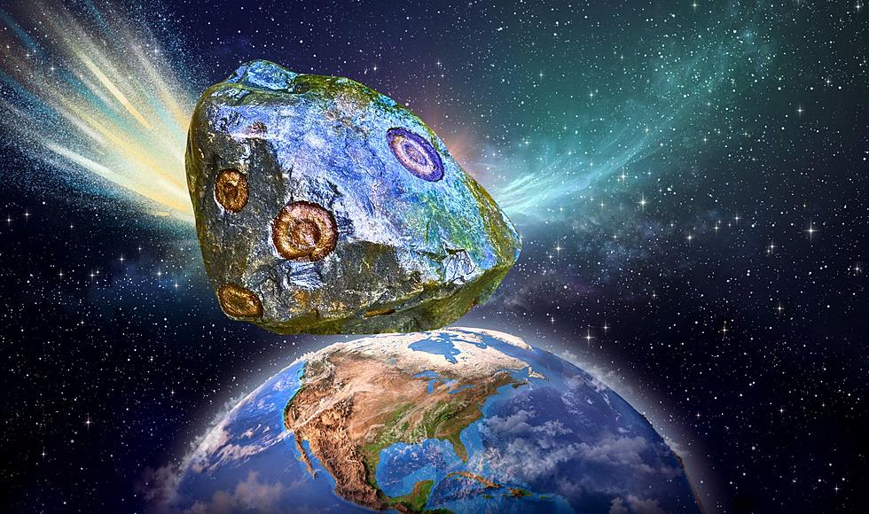 Manistee Woman Discovered THIS 37-Pound Alien Meteorite While Digging Her Garden