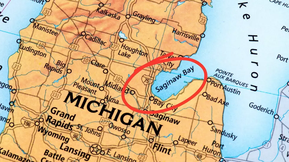 Drunkest Michigan County