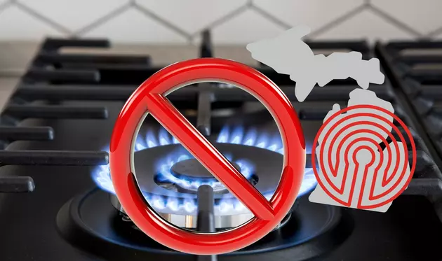 Will Michigan Be Next To Ban All Natural Gas Hookups In Homes?