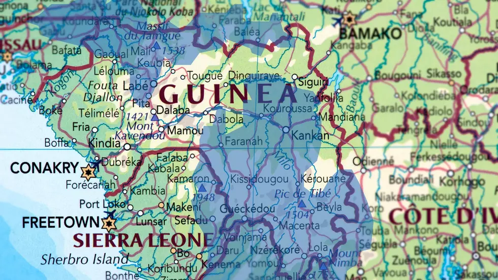 Michigan bigger than Guinea