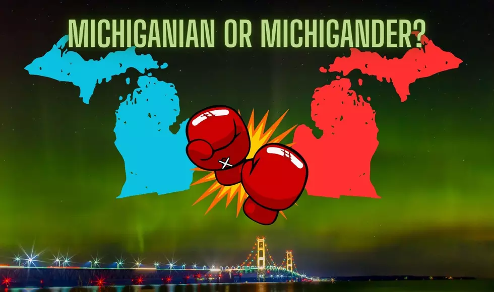Michigan, Let&#8217;s END This Debate: Is It Michiganian or Michigander?