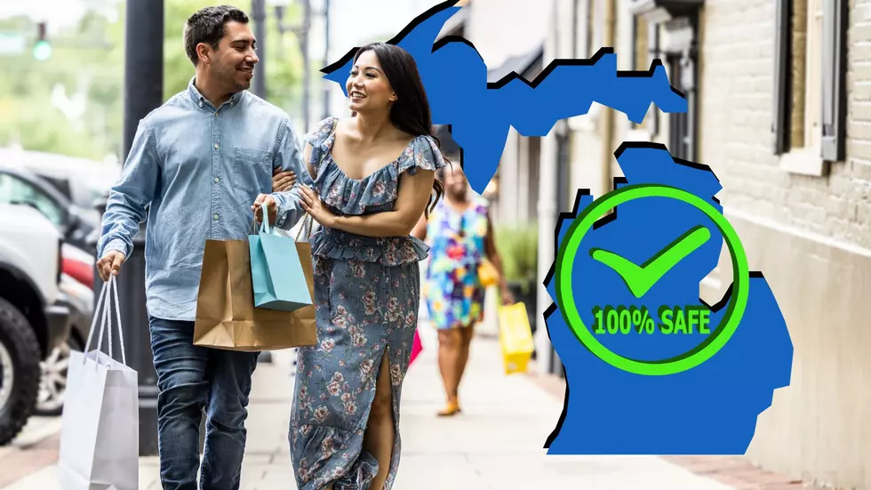 These are the 10 Safest Cities In the State of Michigan