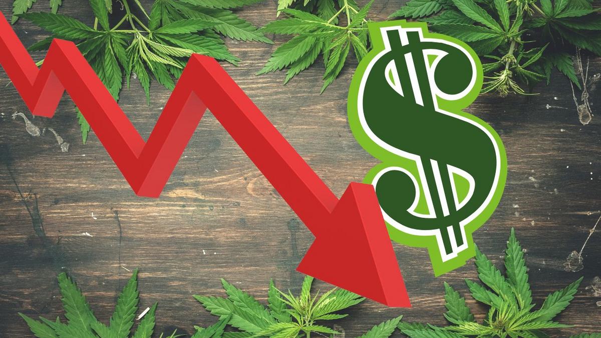 Michigan's cannabis industry is immune to inflation