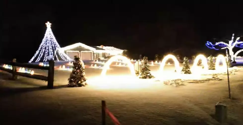 This Dancing Christmas Light Show Is Becoming One of The Most Popular In Michigan