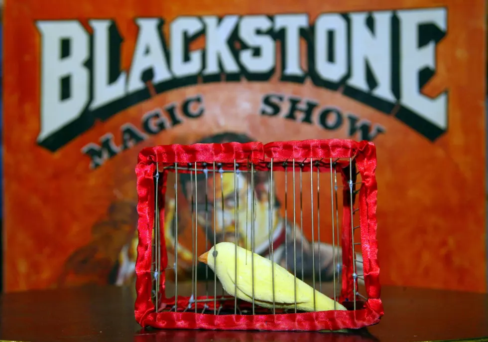 Harry Blackstone Jr. Magic Memorabilia Auction