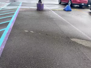 The Significance Of Purple Parking Spots For Veterans In Michigan
