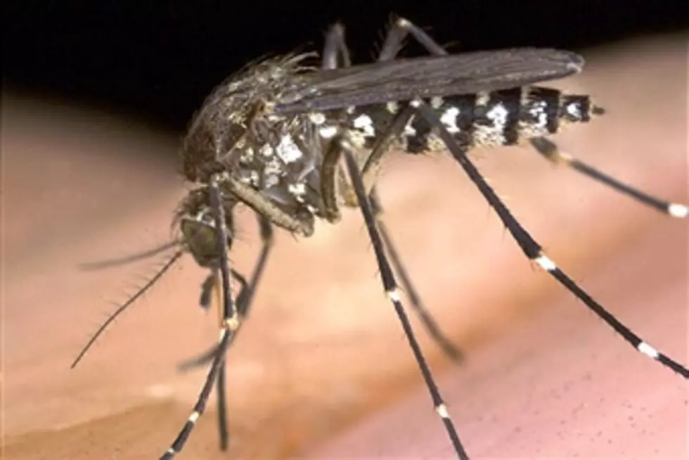 Beware of Mosquito illness