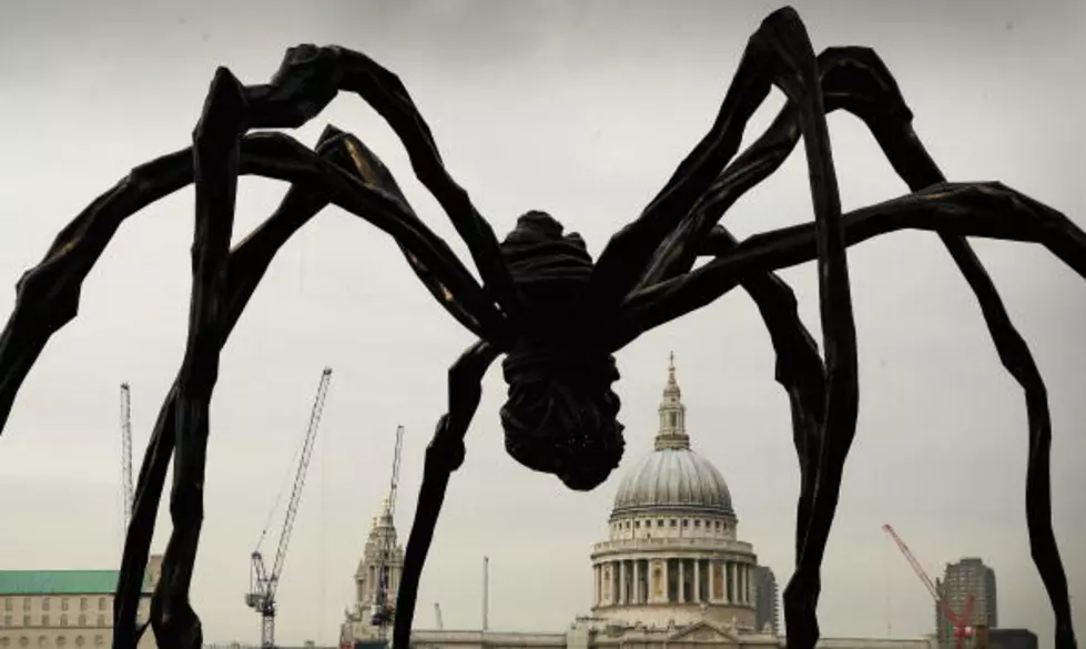 VIDEO: Creepy Giant Spider Eats Bird