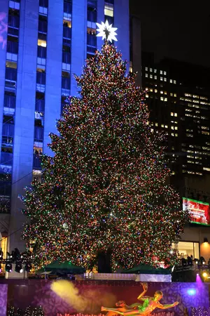 Michigan&#8217;s 30th Official Christmas Tree