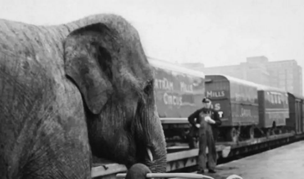 MICHIGAN HISTORY: 115 Years Ago, 1903 Circus Train Wreck, Durand