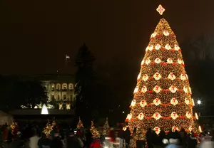 Christmas Tree Lighting Ceremony Rescheduled for Tonight