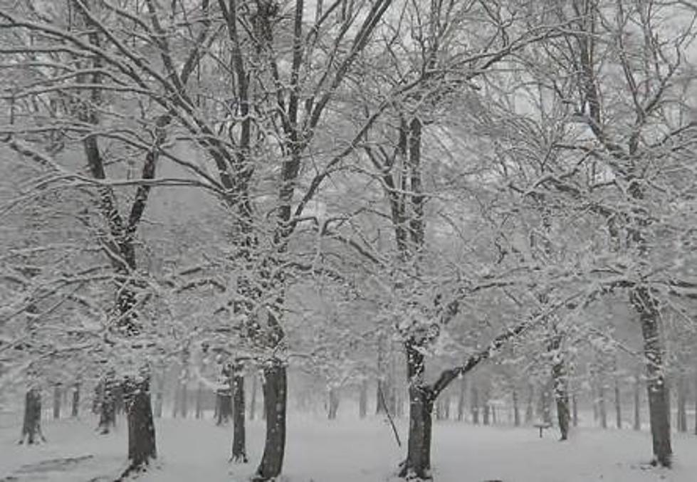 PHOTO GALLERY: MSU in Wintertime