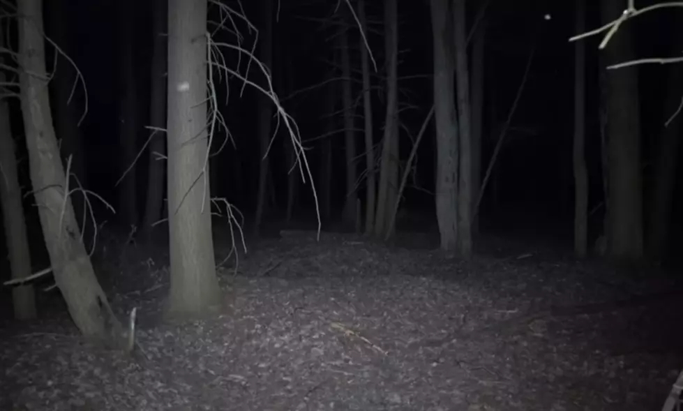 The Twisted Tale of Ghosts and Insanity at Dudgeon Swamp, Manistee Forest