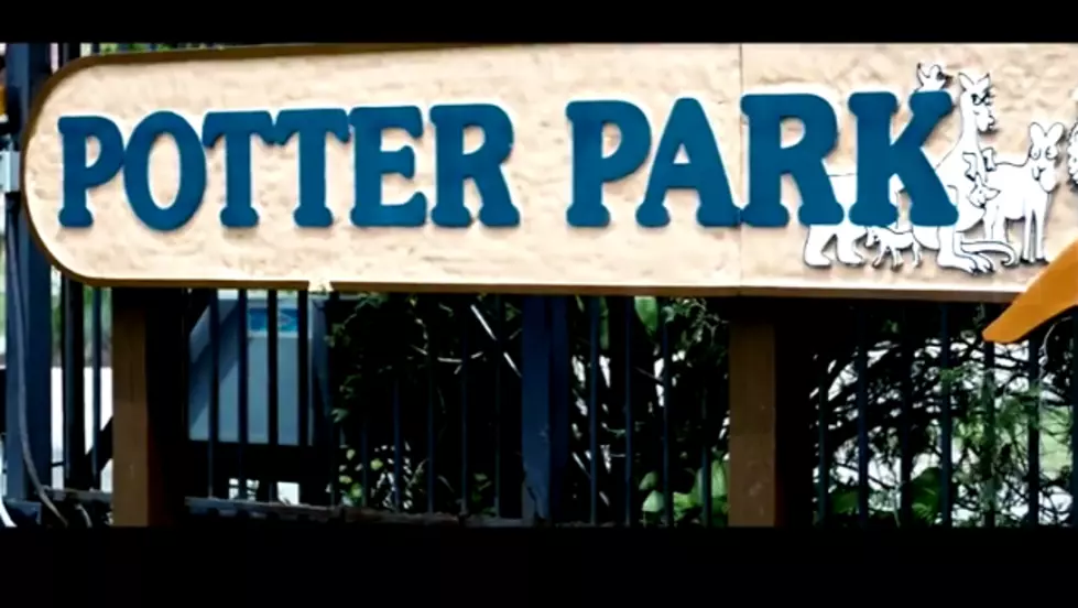 potter park zoo's 99th year