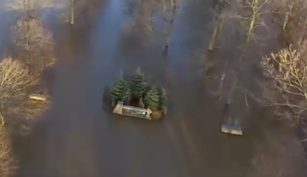 DRONE PHOTOS: Flooding at Potter Park Zoo