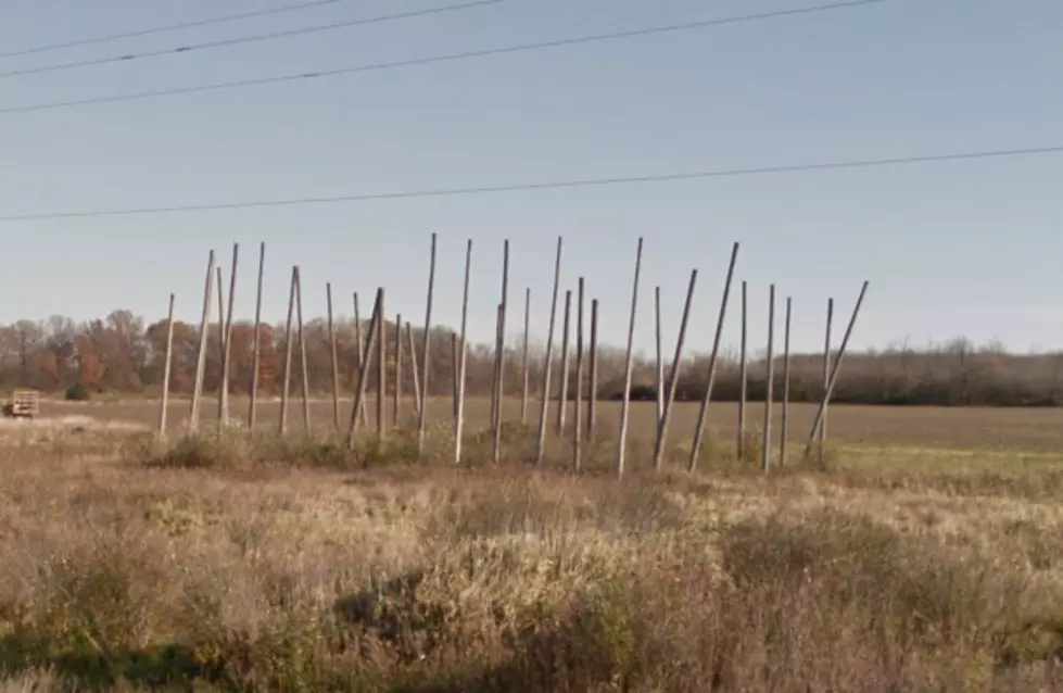 ROADSIDE MICHIGAN: ‘Polehenge’ North of St. Johns