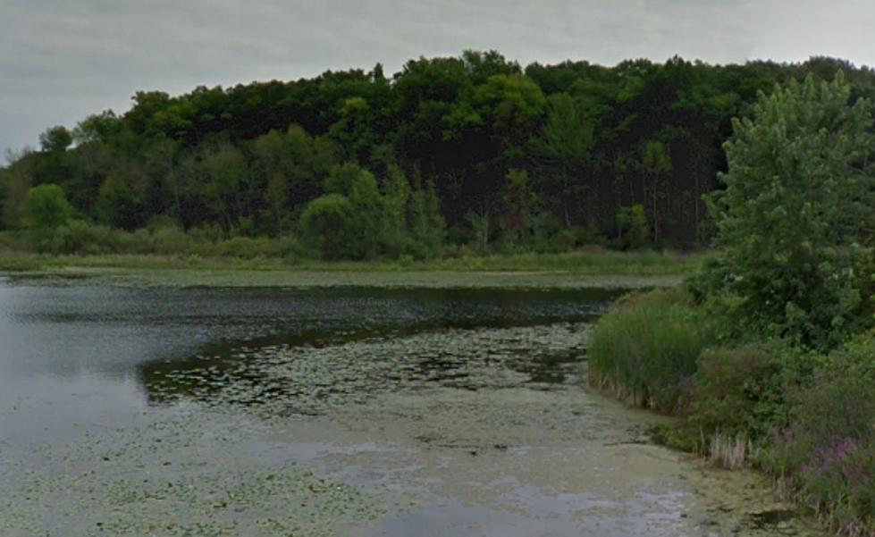 The Creature from the Stearns Bayou: Grand Haven, Michigan