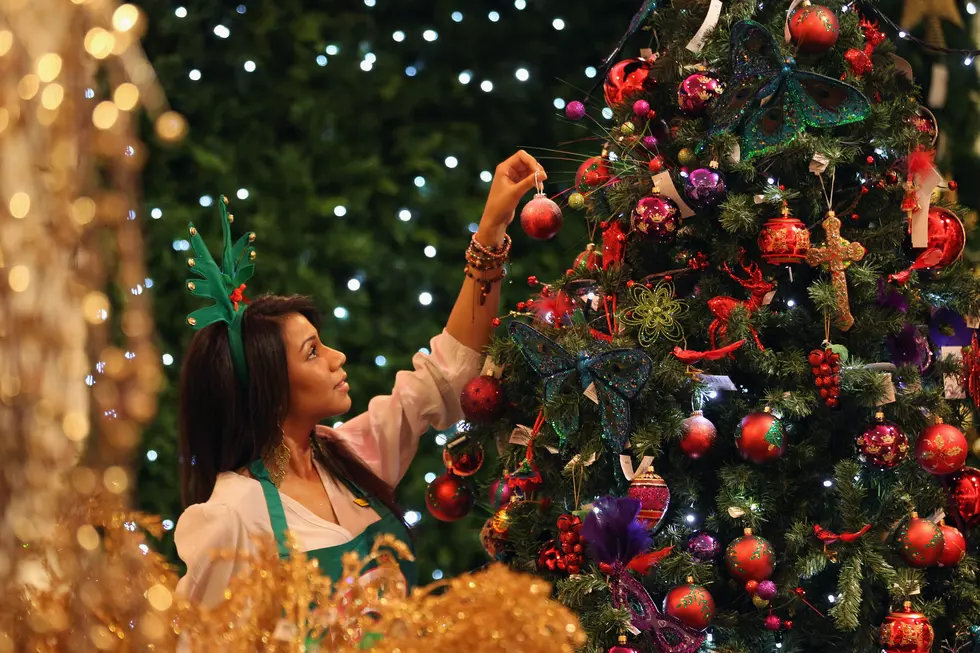 Melania Trump Receives The White House Christmas Tree
