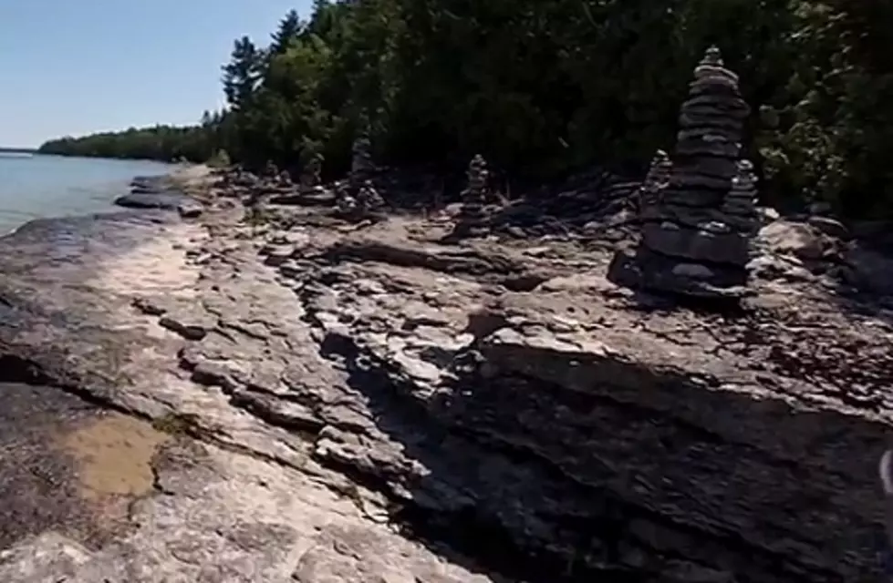 The Layered Fossil Ledges of Drummond Island, Michigan
