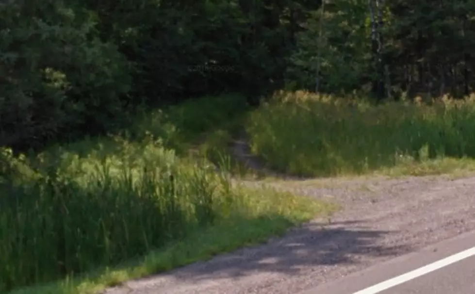 HAUNTED MICHIGAN: &#8216;The Hitchhiker&#8217; of Robbins Pond Road