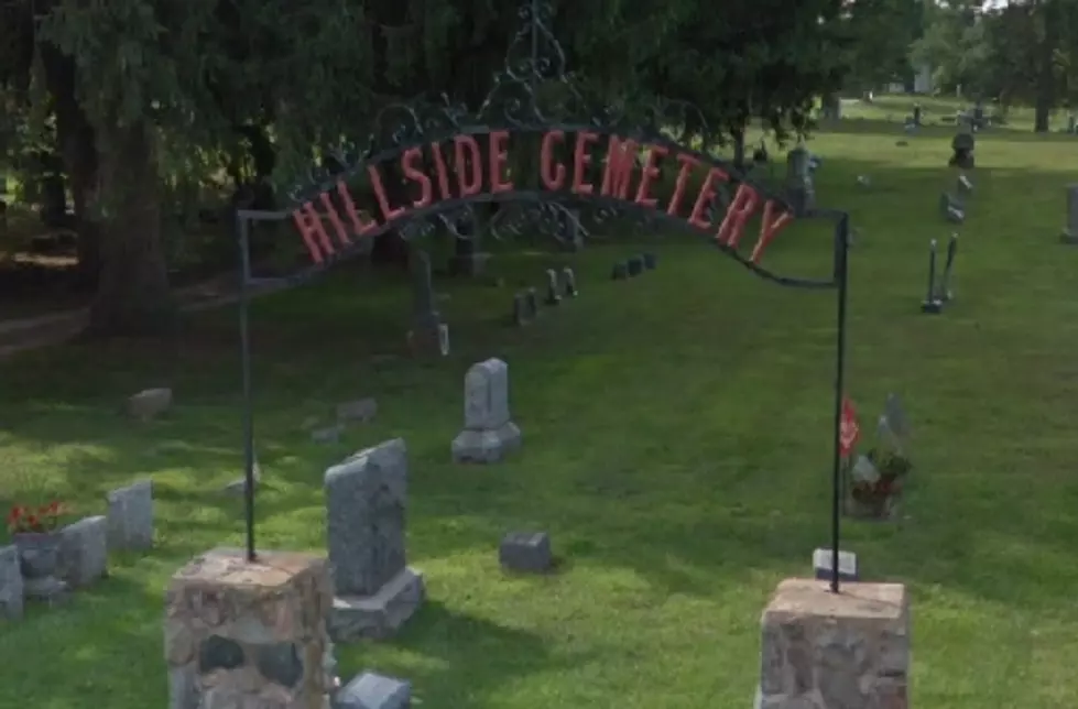 HAUNTED MICHIGAN: The Stone Dog of Hillside Cemetery