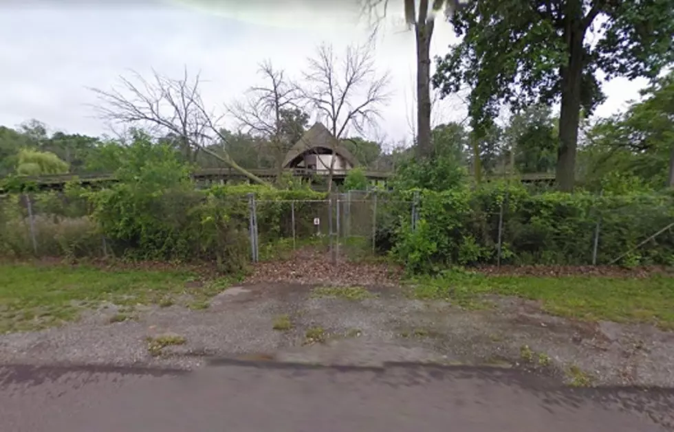 The Snake Goddess of Belle Isle, Michigan