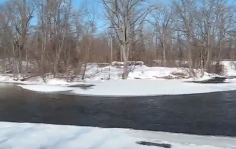 The Old Mill at Hudson Mills Metro Park