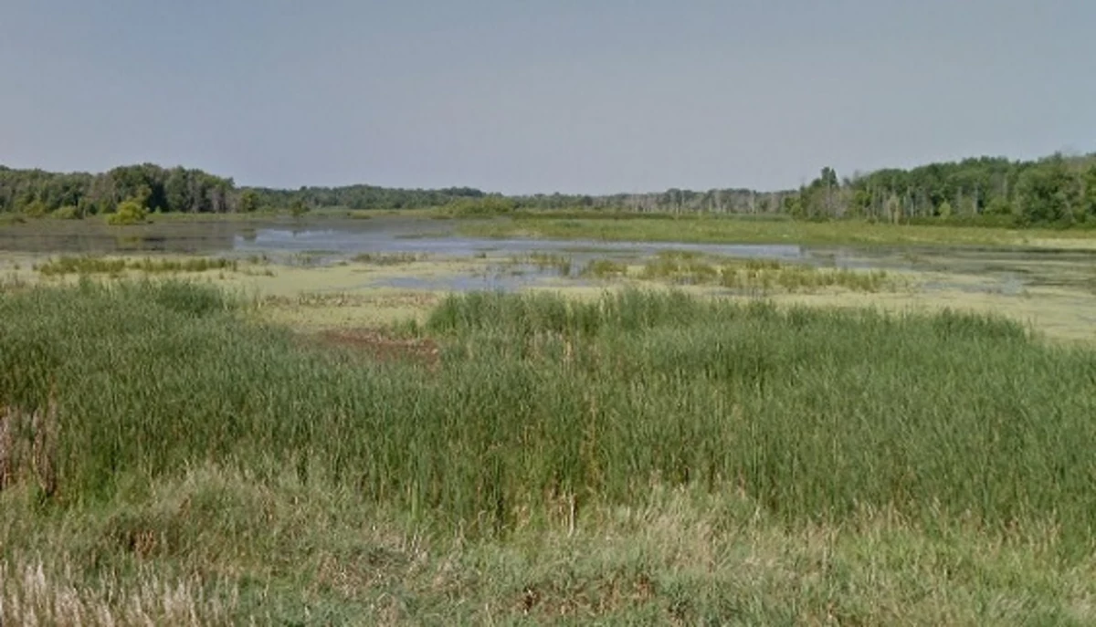 MICHIGAN ROADTRIP Maple River State Game Area