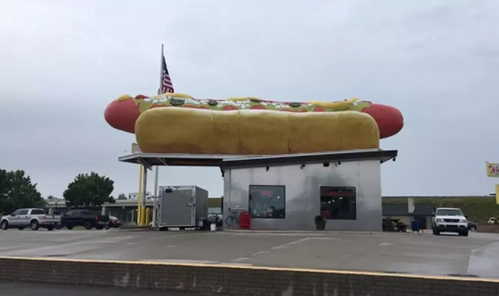 The Biggest Weiner in Michigan