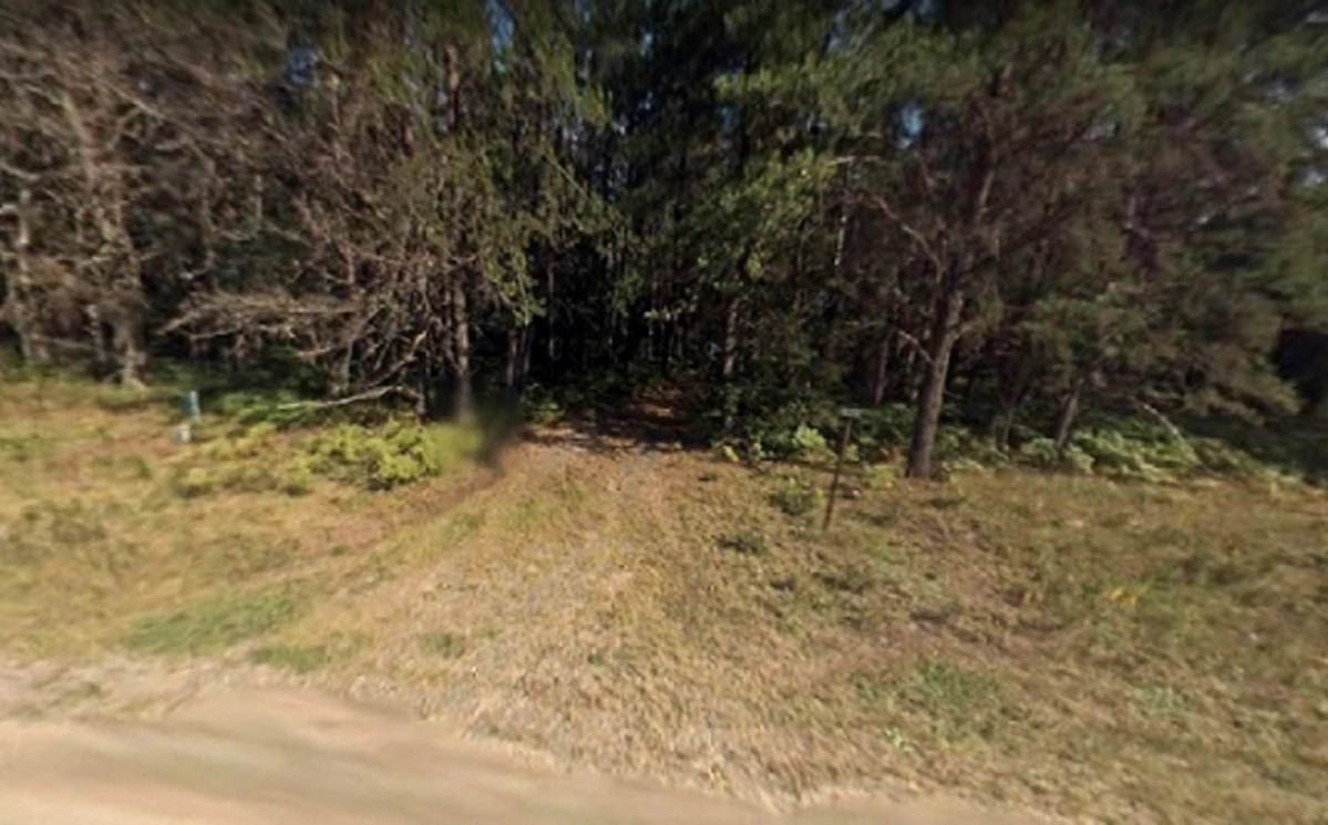 MICHIGAN GHOST TOWN Nothing's Left of Gibbs City Except the Name