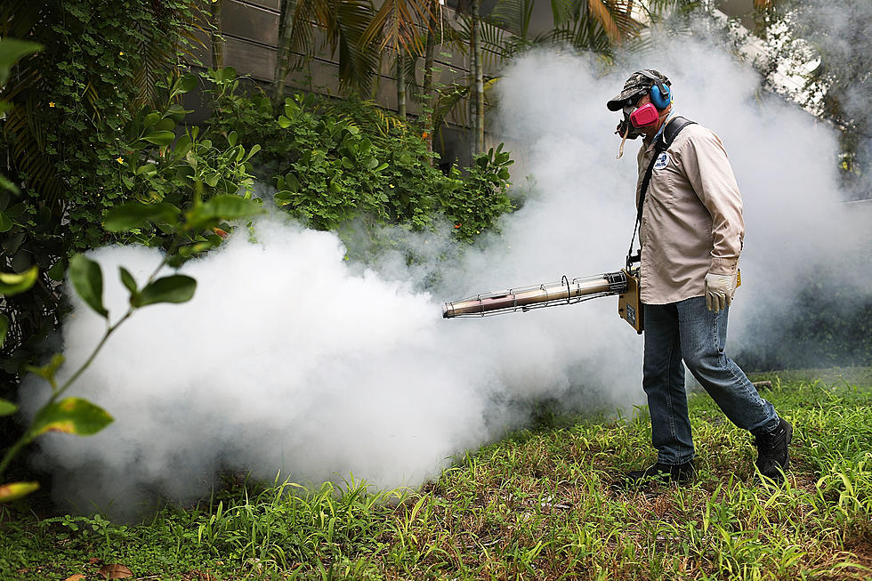 Mosquito Spraying Companies Battle EEE Threat