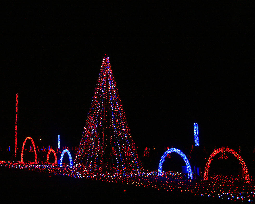 Holiday Light Shows to See In Michigan
