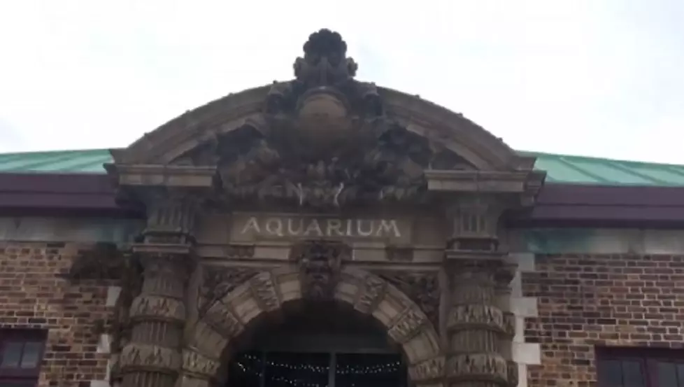 The Oldest Aquarium in the U.S. is in Michigan