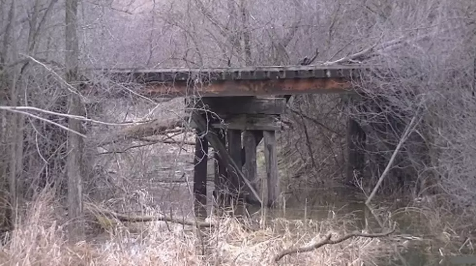 The Old Abandoned Trestle Bridge in Millennium Park: Grand Rapids, Michigan