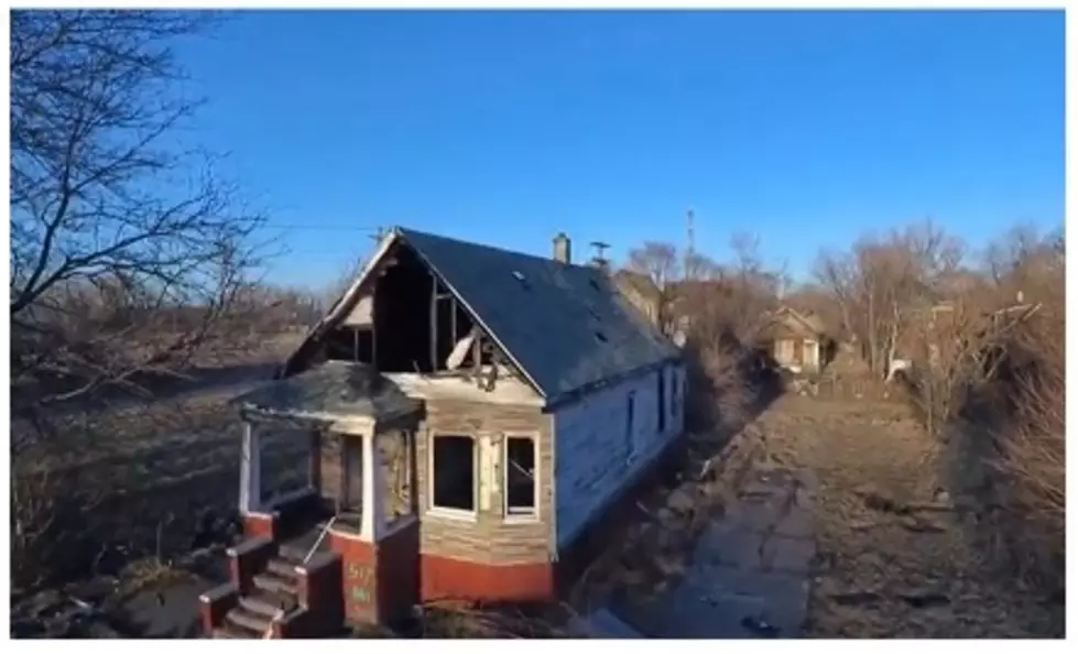 The Abandoned Structures of Delray Neighborhood: Detroit, Michigan