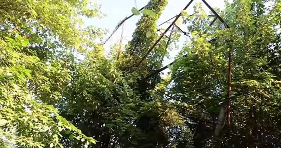 Abandoned Amusement Park Rides Overgrown & Hidden in the Woods