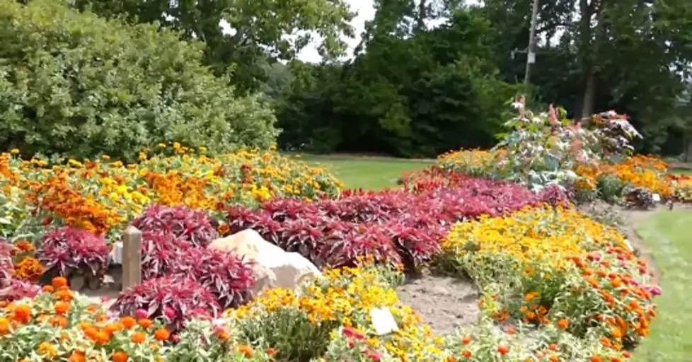 Serene Place to Visit: Hidden Lake Gardens in Lenawee County