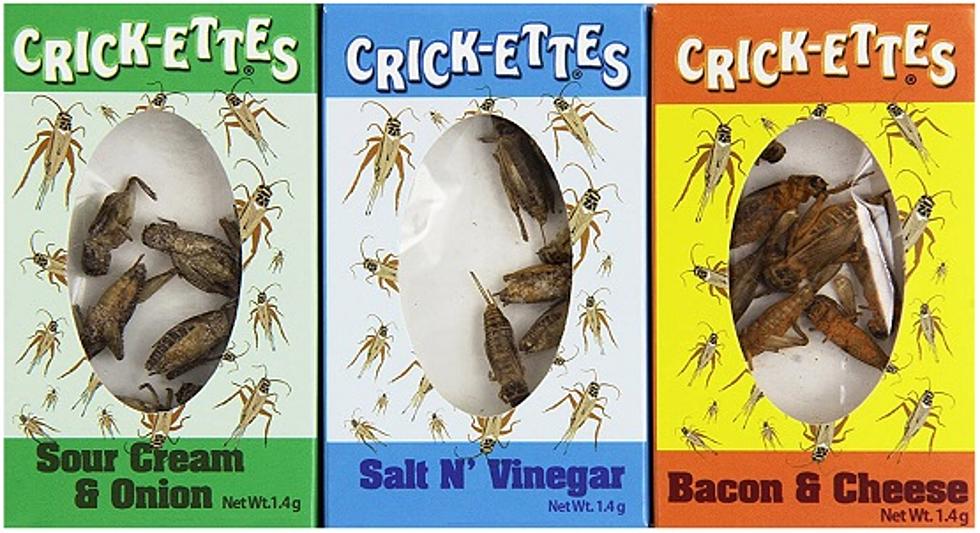 Do You Have the Guts to Try These 21 Insect Snacks?